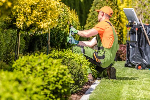 Professional landscaper at work