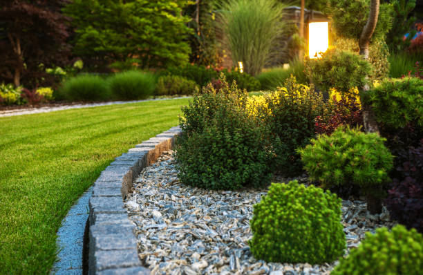 Beautiful garden landscape