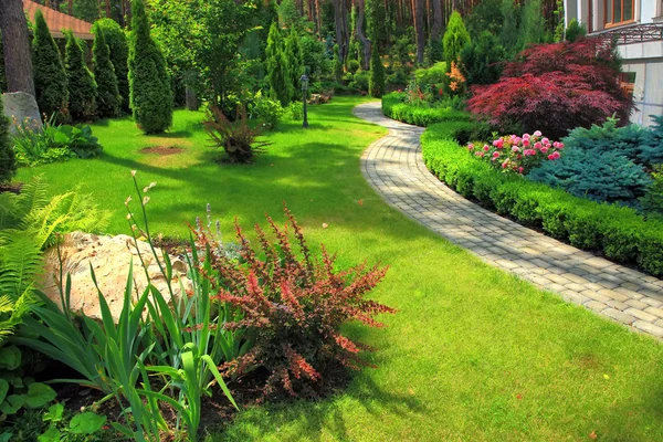 Professional landscaping team