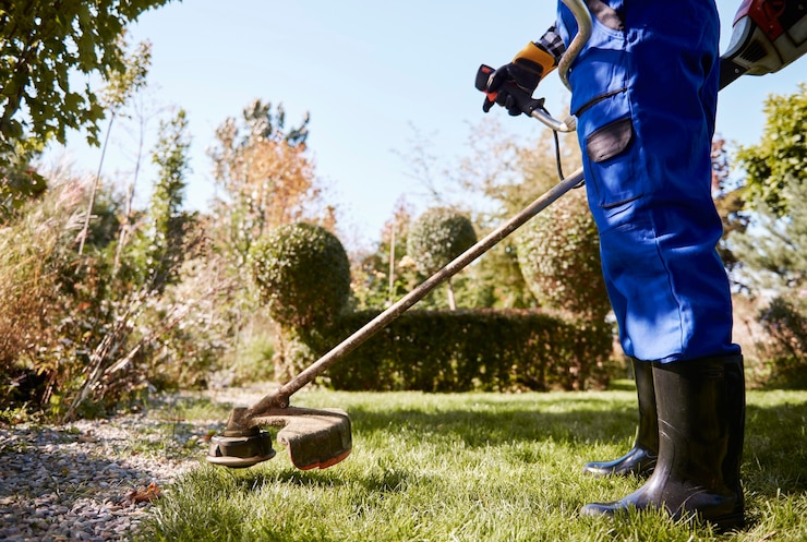 Professional landscaping service